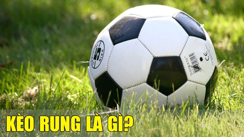 Soi kèo rung góc nhìn nền tảng phân tích thời gian thực