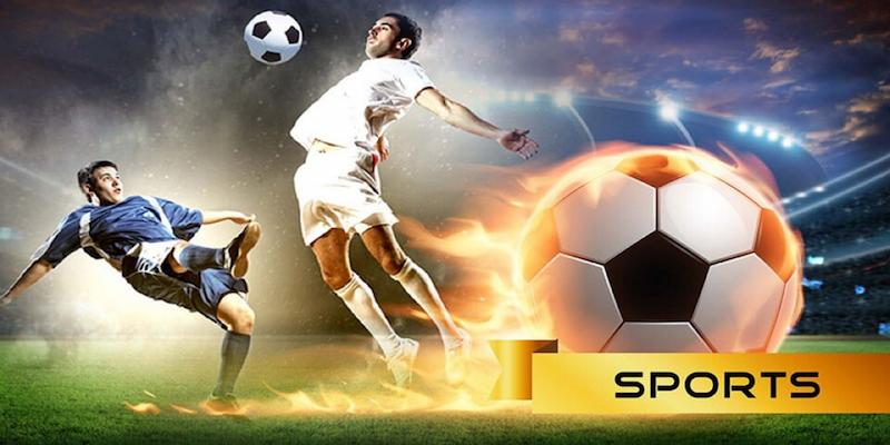 Vai trò của dữ liệu trước giờ bóng lăn